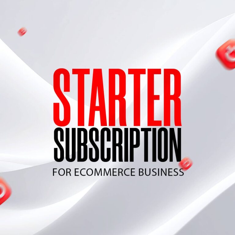 Ecommerce Business Establishment Starter Subscription