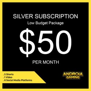 1 Month Silver Subscription of Androia Gaming